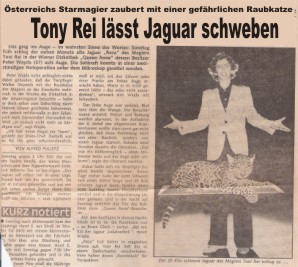 Tony Rei lässt Jaguar schweben